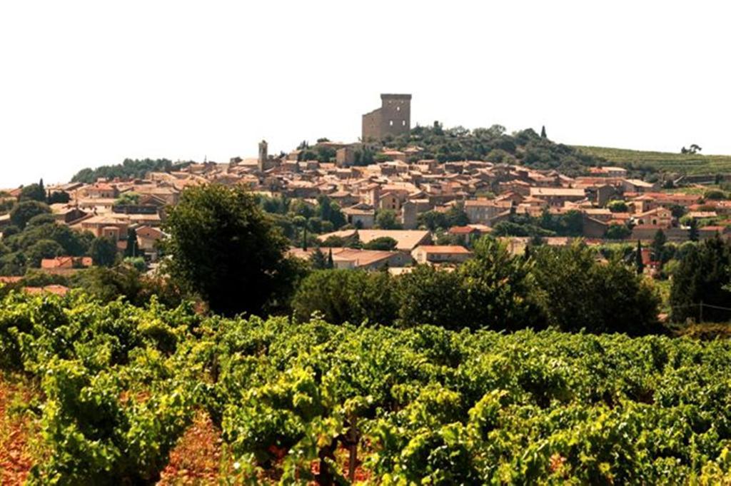 Le Mas De L'Amandier Saint-Saturnin-lès-Avignon Exterior foto